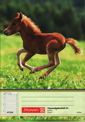 Hausaufgabenheft A5 48 Blatt Pferde